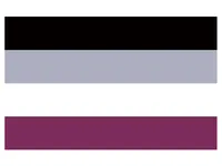 Gratis verzending Polyester 90 * 150 cm LGBTQIA ACE community Nonsexuality Pride Aseksualiteit Aseksuele vlag voor decoratie