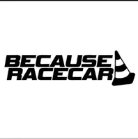 20*5.5CM BECAUSE RACECAR Funny Personality Reflective Stickers Decals Racing Enthusiasts Car Sticker Decal Black  Silver CA-1037