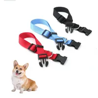 Nylon Dog Pet Collar Colar respirável Durable ajustável Leash Buckle Safety Colar do gato Cães Coleira Sólidos