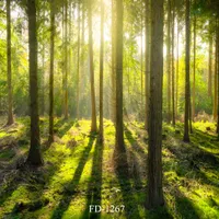 solljus skog vinyl fotografi bakgrund för barn barn baby shower backdrop photocall