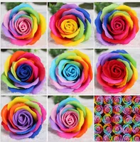 8cm Rainbow 7 Färgglada Rose Tvål Flower Packed Bröllop Tillbehör Gåvor Event Party Varor Goddo Toalett Soap Doft Badrum Tillbehör