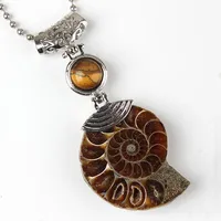 10 ADET Ammonite Reliquiae Birçok Renkler Ile Kuvars Taş Boncuk Kolye Hediye Gümüş Kaplama Takı Için