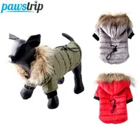 Pawstrip XS-XL Sıcak Küçük Köpek Giysileri Kış Köpek Ceket Ceket Yavru Kıyafetleri Chihuahua Yorkie Köpek Kış Giysileri için Evcil Giyim