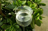 Selbstbewässerungskugeln aus mundgeblasenem Glas Mini automatische Anlage Waterer Birnen-Blumen-dekorative Gestaltung, Satz von 2 Stück