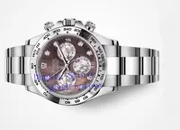 진주 다이아몬드의 최고 남성 자동 시계 크로노 그래프 시계 Cal.4130 화이트 브라운 어머니 116509 남성 에타 COSMOGRAPH 스포츠 손목 시계 다이얼