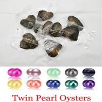 Akoya Twins Pearl Oyster DIY Runda 6-8mm 27 Mix Färger sötvatten naturligt odlat i färsk ostron Pearl Mussel Farm Supply grossist