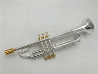 Lo strumento a tromba Baja di alta qualità LT190S-77 riduce il pulsante dorato B per suonare la tromba a campana