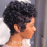 黒人女性のための人間の髪の短い巻き巻きのかつら安いフルレースブラジルのピクシーカットアフロ変態カーリーインド人の髪の毛のかつら新しいかつら