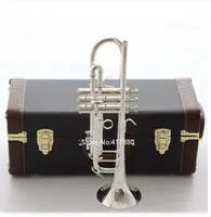 Sıcak Satış Trompet C Ton C180SML-239 Şerit Kaplama Profesyonel Performans Seviyesi Dava ile Müzik Aletleri
