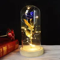 Rose met LED -licht Rose in Glass Dome Beauty Forever Gold Ploated Flowers For Valentine's Day Gift