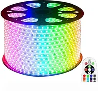 RGB LED Strip Light, AC 110 220 V Elastyczne Wodoodporne Multi Colors Multi-Tryby Możliwość Ściemniana SMD5050 LED Line z pilotem