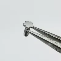 12 st 5 stjärna femstjärniga silverborstade rostfria skruvarskruvar för RM RM011-armbandsurfodral