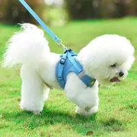 Yelek Model Köpek Kablo Demeti tasma Set Nefes Alabilir Ağ Kayışı Yelek Yaka Halat Pet Köpek Malzemeleri LXJ158