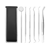 Dental Tools Stainless Steel Hygiene Explorer Probe Hook Pick Scaler Mirror Tweezer Teeth Clean Kit With Case