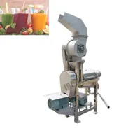 2020 LEWIAO 220 / 380V Hot-selling easy-to-operate juicer small business high-speed fruit juice vegetable juicer