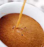 우유 거품 발생 카푸치노 에스프레소 커피 반자동 커피 메이커 스테인레스 스틸 15 바 가정용 커피 머신