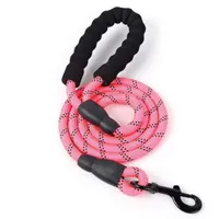 Laisse de chien pour grands animaux Laisse Animaux de nylon en nylon corde à corde long cordes de ceinture chiens