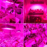 Nuovo design 2000W Dual Chips 380-730nm Spectrum Full Light Spectrum LED Plant Growth Lamp Bianco Grow Lights Wholesale