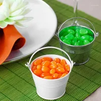 Gift Wrap 10pcs Mini Small Assorted Colored Tin Pails Buckets Wedding Party Potted Plants1