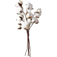 Decorative Flowers & Wreaths White 9 Stems Natural Dry Flower Cotton Branches Artificial