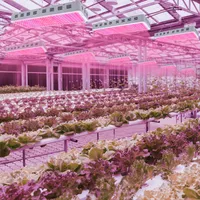 3000W double LED Chips spectre pleine lumière de croissance des plantes lampe blanche Nouveau design