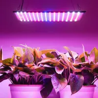 LED Grow Lights 1000 W Pełny Spektrum Kryty Grow Lampa, Roślin Uping Light Namiot Fitolampy Fito UV IR Red Blue 225 LED