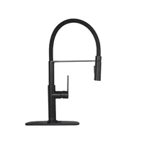 US Stock Pull Down Single Handle Kitchen Faucet A13
