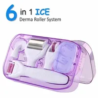 6in 1 Ice Micro Derma Roller Kit Mironeedle Facial Beauty Micro Agulha DRS Rejuvenescimento Remova as cicatrizes cuidados faciais
