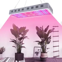 3000W 듀얼 칩 380-730nm 전체 빛 스펙트럼 LED 식물 성장 램프 화이트 높은 출력