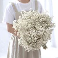 Natural Dried Preserved Flowers Gypsophila Paniculata Baby&#039;s Breath Flower Bouquets Gift for Wedding Home Decor Props for Po 211229