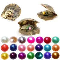 Großhandel South See Pearl Auster mit natürlicher 6-7 mm Runde 25 verschiedene Farben Wunsch Pearl bedeutet lustiges Geburtstagsgeschenk