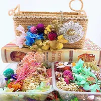 Decorative Flowers & Wreaths 1Box DIY Multi Colorful Natural Dried Handmade Decorations Accessories Leaves Flower Heads Scrapbooking