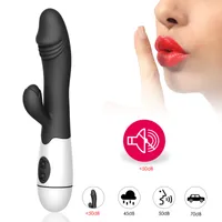 Nouveau vibrateur de lapin 30 vitesses Vibration Dildo pour femme USB Charge féminin Masturbateur Dual Moteur G Spot Clitoris Massage Jouets sexuels