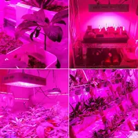 2000Wデュアルチップ380-730nmフルライトスペクトルLED植物成長灯ホワイト屋内LED成長ライト