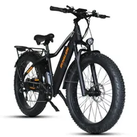 S11 Electric Off Road Bicycle 2 Wheels Electric-Bicycles 750W 48V 35KM/H Fat Tires Electric Mountain Bike For Adults With Double Brakes