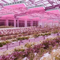 3000 واط رقائق مزدوجة 380-730nm ضوء كامل الطيف أدى مصباح النمو النباتي الأبيض جودة عالية التوصيل المجاني مواد قسط تنمو أضواء