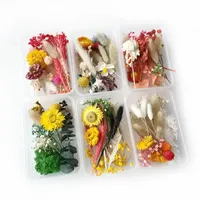 Decorative Flowers & Wreaths 1 Box Real Dried Flower Dry Plants For Candle Epoxy Resin Pendant Necklace Jewelry Making Craft DI