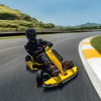 Top New Segway Ninebot Gokart Pro Electric Scooter and Go Kart Scooter for Adults and Kids with Edition