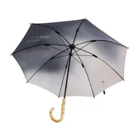 Ombrelli ombrello creativo automatico portatile di lusso di lusso doppio strato parasole all'aperto paraguas grande famiglia prodotti oo50cb