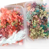 1 boîte mélange de belles fleurs séchées réelles naturelles floral pour art artisanat Scrapbooking résine bijoux artisanat fabrication de moule époxy T191029