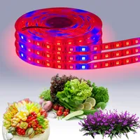 Tam Spektrum Tesisi Büyümek LED Şerit Işık 5050 12 V Kapalı Lamba Sera Hidroponik Bitkiler Sebze Çiçek 1 m 60 LEDs