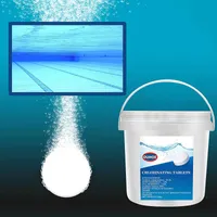 プールアクセサリー300ピュアル機能性発泡性スプレー濃縮物クリーナーバスタブ塩素タブレット水泳洗浄タブレット工具＃2p