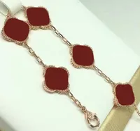 6 colori Fashion Classic 4/Four Leaf Charm Charm Bracelets Catena di bracciali di alta qualità con shell di agenti di alta qualità Cjeweler per regali da donna da uomo