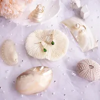 Сторона украшения натуральный коралл PO реквизит ins net знаменитости ногтей искусства корейский ювелирные изделия оболочка раковины со стрельбой