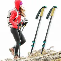 Hitorhike Pair / 2pcs Fibre de carbone Trekking Polonais Nordic Walking Stick Alpenstock pour Tourisme 220104