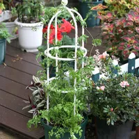 Other Garden Supplies Plant Vines Climbing Stand Metal Flowerpot Bracket Lotus Rose Support Pole For Indoor Decoration PLDI889