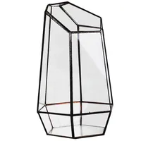 Pianter Pots Casa serra in vetro esagonale vaso per tassa giardino miniatura Mini Paesaggio