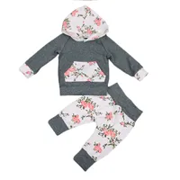 Çiçek Yenidoğan Bebek Kız Giysileri Set Uzun Kollu Kapşonlu Tops Hoodie Pantolon Çiçek 2 adet Set Giyim Bebek Kızlar Yeni