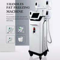 Big Power Body Slimming Treatment Machine Cryolipolysis System 5 Handles CE FDA 승인 로고 사용자 정의