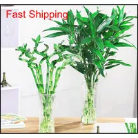 Otros suministros de jard￭n Big Sale 30 piezas de plantas de bamb￺ de la suerte Bonsai Good Luck Plants Vitality Balc￳n tenaz sala de estar Ho